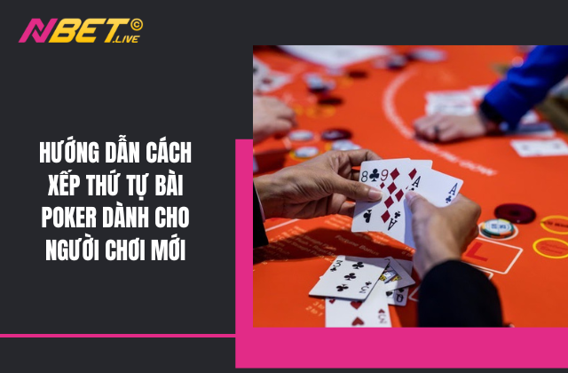 Khám phá csdl moet gov vn để tra cứu csdl dễ dàng và nhanh chóng